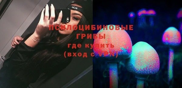 соль ск Карталы