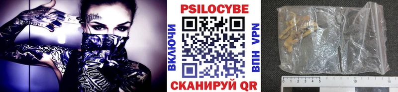 Купить закладки  Печоры  Галлюциногенные грибы мицелий 
